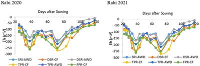 Multi-criteria assessment to screen climate smart rice establishment techniques in coastal rice production system of India
